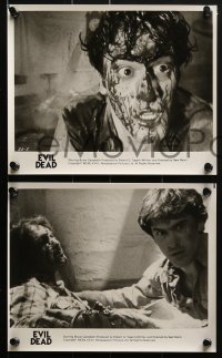 4a301 EVIL DEAD 10 8x10 stills 1982 Sam Raimi cult classic, Bruce Campbell, Renaissance & New Line!