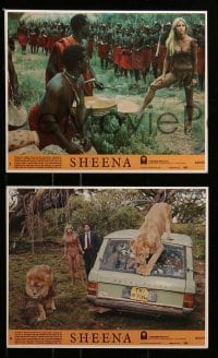 4a122 SHEENA 6 8x10 mini LCs 1984 sexy Tanya Roberts as Queen of the Jungle in Africa!