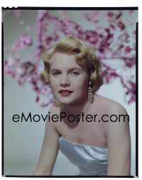 4d004 CARROLL BAKER 8x10 transparency 1959 glamorous sexy portrait wearing strapless dress!