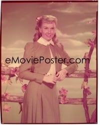 4d210 ON MOONLIGHT BAY 8x10 transparency 1951 portrait of Doris Day leaning on fence by Bert Six!