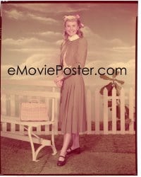4d211 ON MOONLIGHT BAY 8x10 transparency 1951 portrait of Doris Day standing by bench by Bert Six!