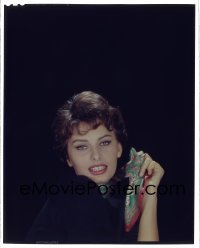 4d037 SOPHIA LOREN 8x10 transparency 1950s sexy c/u holding colorful scarf over black background!
