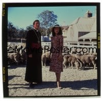 4d306 THORN BIRDS group of 18 2x2 transparencies 1983 priest Richard Chamberlain & Rachel Ward!
