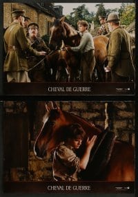 4k607 WAR HORSE 6 French LCs 2012 Emily Watson, David Thewlis, tested by battle!