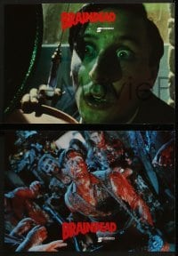 4k391 DEAD ALIVE 8 German LCs 1992 Peter Jackson gore-fest, some things won't stay down!