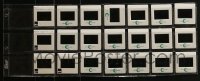 4m111 LOT OF 27 INSIGNIFICANCE 35MM SLIDES 1985 lots of color images from the movie!