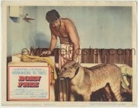4p110 BORN FREE LC 1966 great close up Bill Travers with Elsa the lioness in his room!