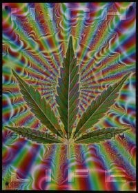 4r303 HIGH LIFE 24x36 English commercial poster 2001 Ziewe computer design of a marijuana leaf!
