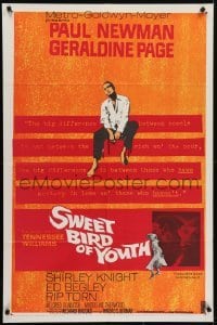 4s895 SWEET BIRD OF YOUTH 1sh 1962 Paul Newman, Geraldine Page, from Tennessee Williams' play!
