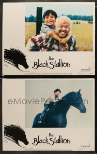 4w840 BLACK STALLION 2 LCs 1979 Kelly Reno, Mickey Rooney, great horse images!