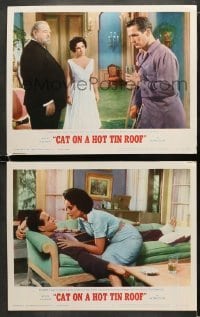 4w849 CAT ON A HOT TIN ROOF 2 LCs R1966 Elizabeth Taylor as Maggie the Cat, Paul Newman, Ives!