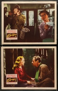 4w867 ESCAPE 2 LCs 1948 Rex Harrison, pretty Peggy Cummins, prison escape!