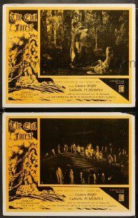 4w869 EVIL FOREST 2 LCs 1955 Spanish version of Parsifal, Richard Wagner, search for the Holy Grail!