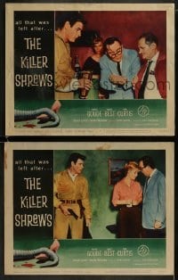 4w906 KILLER SHREWS 2 LCs 1959 Ingrid Goude, James Best, great sci-fi/horror border art!