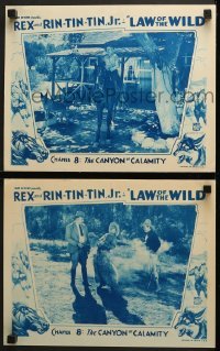 4w911 LAW OF THE WILD 2 chapter 8 LCs 1934 art of Rin Tin Tin Jr., Rex King of the Wild Horses!