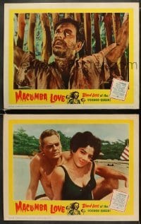 4w919 MACUMBA LOVE 2 LCs 1960 Reed, weird, shocking savagery in native jungle, voodoo queen!
