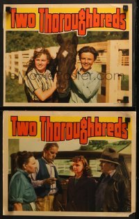 4w986 TWO THOROUGHBREDS 2 LCs 1939 Jimmy Lydon, 14 year old Joan Leslie, horse images!