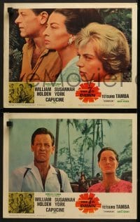 4w032 7th DAWN 8 LCs 1964 cool images of William Holden, sexy Susannah York & Capucine!