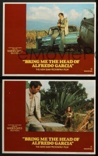 4w088 BRING ME THE HEAD OF ALFREDO GARCIA 8 LCs 1974 Warren Oates, Isela Vega, Gig Young!