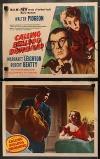 4w097 CALLING BULLDOG DRUMMOND 8 LCs 1951 detective Walter Pidgeon, Margaret Leighton