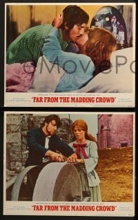 4w168 FAR FROM THE MADDING CROWD 8 LCs 1968 Julie Christie, Terence Stamp, Peter Finch!
