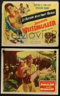 4w250 JUNGLE JIM 8 LCs 1948 great images of Johnny Weissmuller hunting a long-lost treasure hoard!