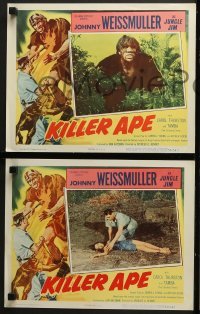 4w259 KILLER APE 8 LCs 1953 Weissmuller as Jungle Jim, drug-mad beasts ravage human prey!