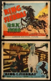 4w262 KING OF THE SIERRAS 8 LCs 1938 great TC art of Rex, King of the Horses, chased by cowboys!