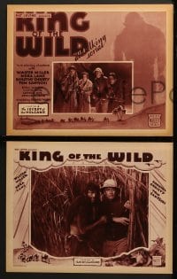 4w263 KING OF THE WILD 8 chapter 4 LCs 1931 Boris Karloff, Mascot serial, The Secret of the Volcano!