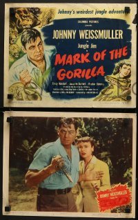 4w291 MARK OF THE GORILLA 8 LCs 1951 jungle explorer Johnny Weissmuller, Suzanne Dalbert!