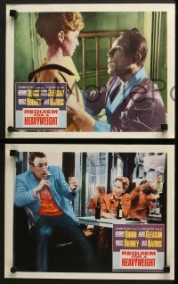 4w540 REQUIEM FOR A HEAVYWEIGHT 7 LCs 1962 Anthony Quinn, Jackie Gleason, Julie Harris, boxing!
