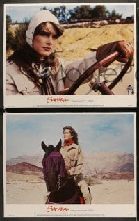 4w543 SAHARA 7 LCs 1984 Lambert Wilson, Buchholz, sexy Brooke Shields in the desert, complete set!