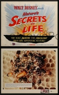 4w411 SECRETS OF LIFE 8 LCs 1956 Disney's most amazing & miraculous True Life Adventure feature!