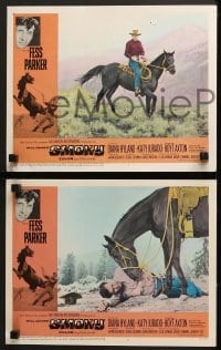 4w429 SMOKY 8 LCs 1966 Diana Hyland, Fess Parker tames wild outlaw mustang!