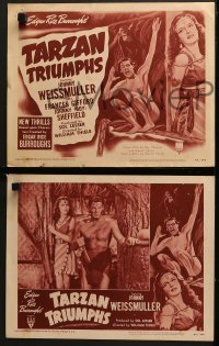 4w005 TARZAN TRIUMPHS 8 LCs R1949 cool images of Johnny Weissmuller & sexy Frances Gifford as Zandra!