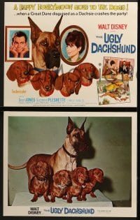 4w027 UGLY DACHSHUND 9 LCs 1966 Walt Disney, Dean Jones & Suzanne Pleshette + cute dogs!