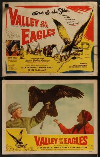 4w476 VALLEY OF THE EAGLES 8 LCs 1952 in mortal combat with savage wolves, English Arctic thriller!