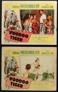 4w483 VOODOO TIGER 8 LCs 1952 Johnny Weissmuller as Jungle Jim & sexy Jeanne Dean!