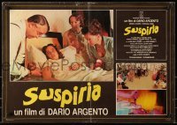 4y906 SUSPIRIA Italian 19x27 pbusta 1977 Dario Argento horror, different images of Jessica Harper!