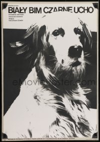 4y835 WHITE BIM BLACK EAR Polish 27x38 1978 great art of dog by Jacek Neugebauer!