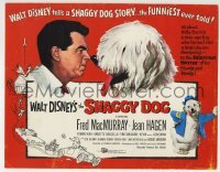 5b414 SHAGGY DOG TC 1959 Disney, Fred MacMurray in the funniest sheep dog story ever told!