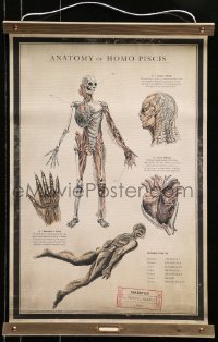 5g001 SHAPE OF WATER 18x27 special promotional poster 2017 anatomy chart of the Amphibian Man!