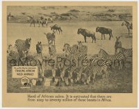5h932 TRAILING AFRICAN WILD ANIMALS LC 1921 Mr. & Mrs. Osa & Martin Johnson, herd of zebra, rare!