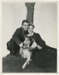 5m871 HILLS OF HOME deluxe 10.25x13 still 1948 young lovers Janet Leigh & Tom Drake with Lassie!