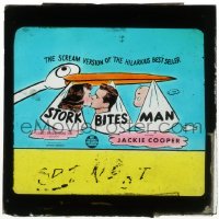 5m603 STORK BITES MAN Aust glass slide 1947 Jackie Cooper & Meg Randall have a baby, cartoon art!