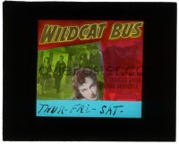 5m598 WILDCAT BUS glass slide 1940 Fay Wray runs a bus company that is overrun by racketeers!