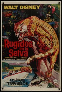 5p181 JUNGLE CAT Spanish 1965 Disney, great artwork of jaguar by Jano, savage lord of the Amazon!