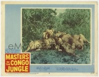 5r666 MASTERS OF THE CONGO JUNGLE LC #6 1960 great close up of lions laying on the ground!