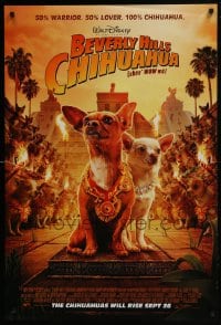 5s104 BEVERLY HILLS CHIHUAHUA advance DS 1sh 2008 Perabo, Jamie Lee Curtis, cute image of dogs!
