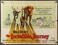 5t695 INCREDIBLE JOURNEY 1/2sh R1969 Disney, art of Bull Terrier, Siamese cat & Labrador Retriever!